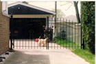 Iron Driveway Gate