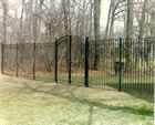 Wrought Iron Fence